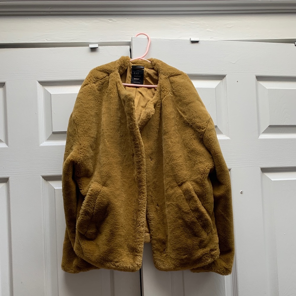 Zara Teddy Coat